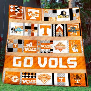 Tnvl B300746 Quilt Blanket  Quilt